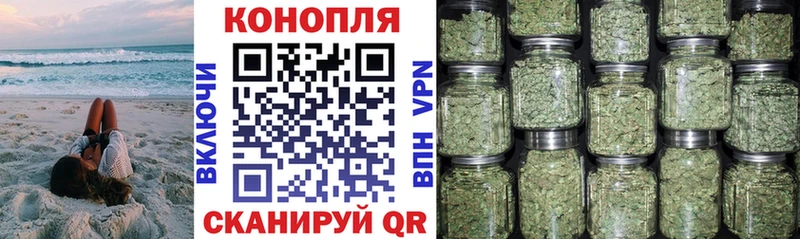 Где можно купить наркотики Заречный Кокаин  Alpha PVP  ГАШ  Галлюциногенные грибы  МЕФ 