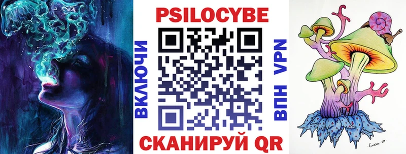 площадка состав  купить закладку  Заречный  Псилоцибиновые грибы MAGIC MUSHROOMS 